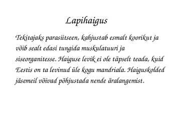 Astacus astacus #18