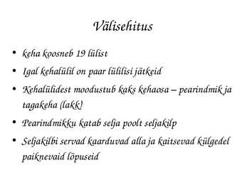 Astacus astacus #5