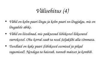 Astacus astacus #8