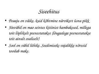 Astacus astacus #10