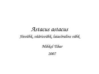 Astacus astacus