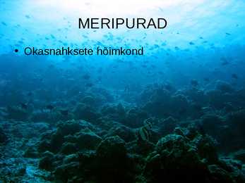 OKASNAHKSED #15