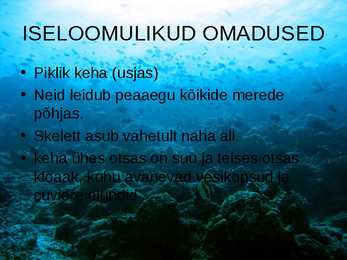 OKASNAHKSED #16