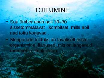 OKASNAHKSED #17