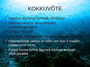 OKASNAHKSED #20