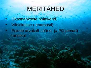OKASNAHKSED #3