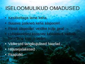 OKASNAHKSED #4
