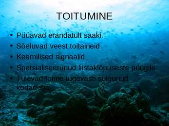 OKASNAHKSED #5