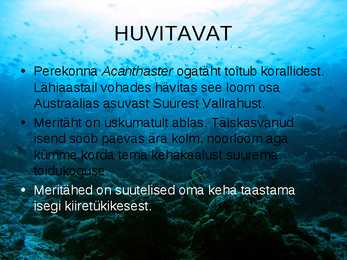 OKASNAHKSED #8