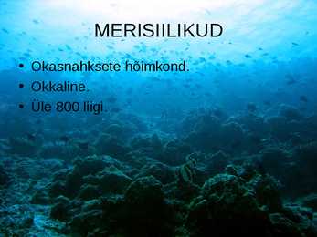 OKASNAHKSED #9