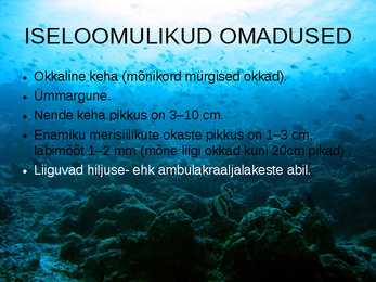 OKASNAHKSED #10