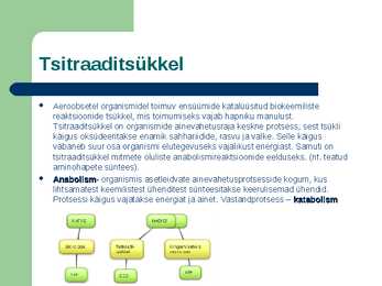 BIOLOOGIA keskkooli esitlus #9