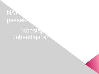 NATO sümboolika ja peasekretärid