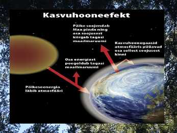 KASVUHOONEEFEKT #11
