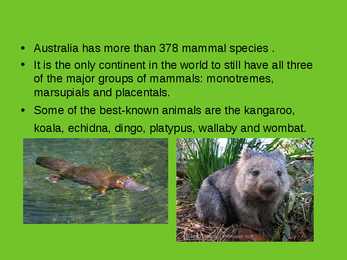Mammals of Australia #2