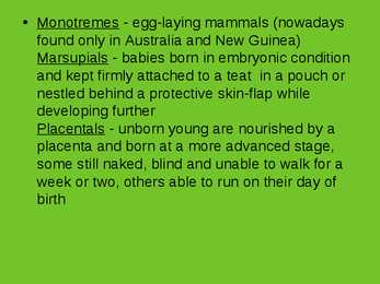 Mammals of Australia #3