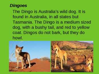Mammals of Australia #5