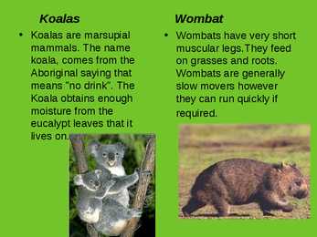 Mammals of Australia #7