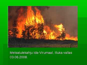 Metsade hävimine #5
