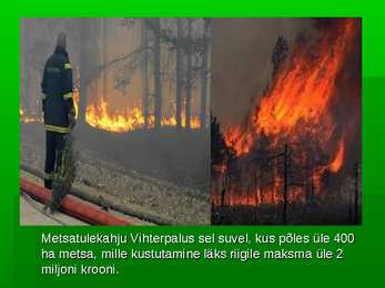 Metsade hävimine #6