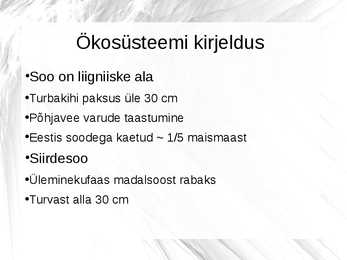 SIIRDESOO #2