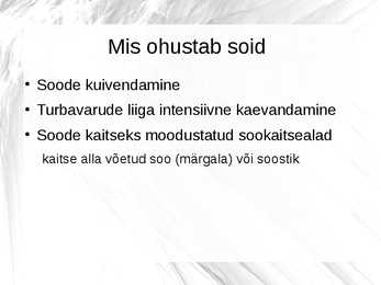 SIIRDESOO #12