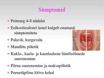 Viiruse ettekanne - Mononukleoos #4