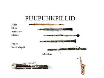 Muusikainstrumendid #7