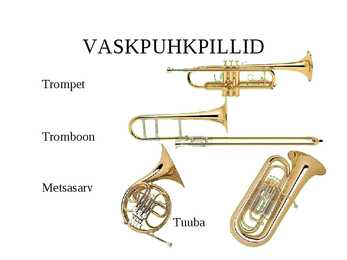 Muusikainstrumendid #8