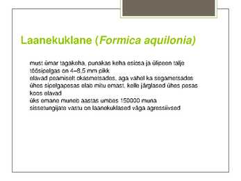 Metsakuklane #11