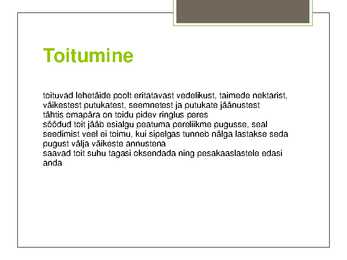 Metsakuklane #7