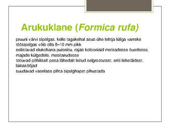 Metsakuklane #9