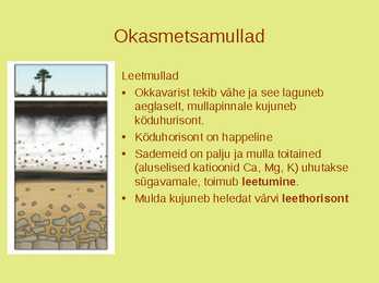 Maailma muldade põhjalik ülevaade #11