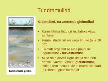Maailma muldade põhjalik ülevaade #3