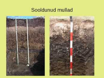 Maailma muldade põhjalik ülevaade #25