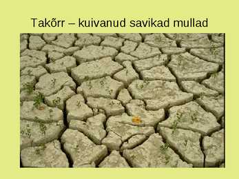 Maailma muldade põhjalik ülevaade #30