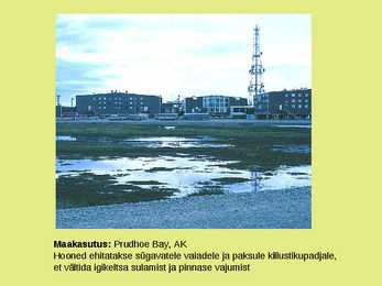 Maailma muldade põhjalik ülevaade #9