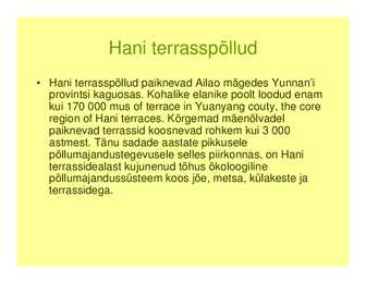 Intensiivse põllumajandusega piirkondade maastikumustrid #27
