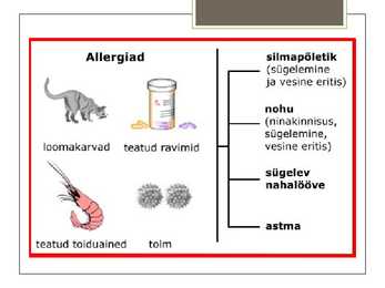 Allergia powerpoint #5