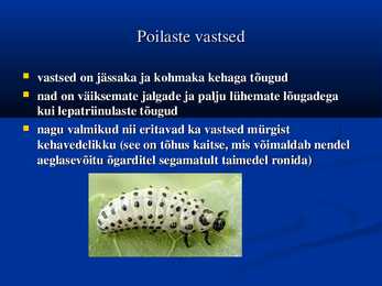 Poilased #4