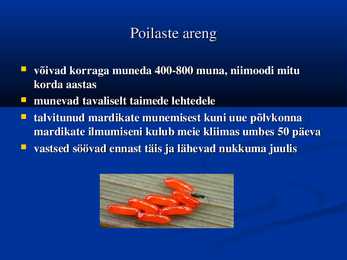 Poilased #6