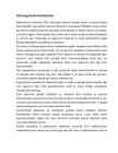 Referaat - Finantsstabiilsus #2