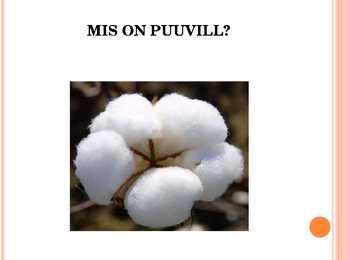 Puuvill #2