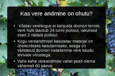 Veredoonorlus #7