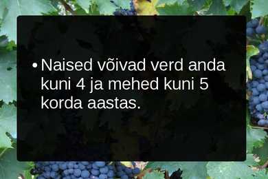 Veredoonorlus #8