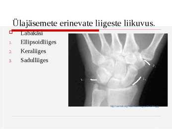 Liigeste liikuvus #3