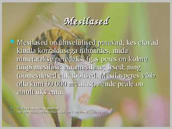 Mesilane-Apis- #3