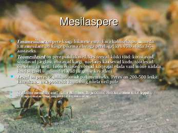 Mesilane-Apis- #5