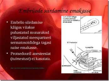 Kunstlik viljastamine #4