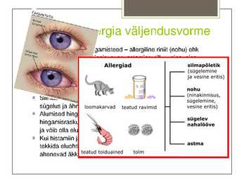 Allergia #5